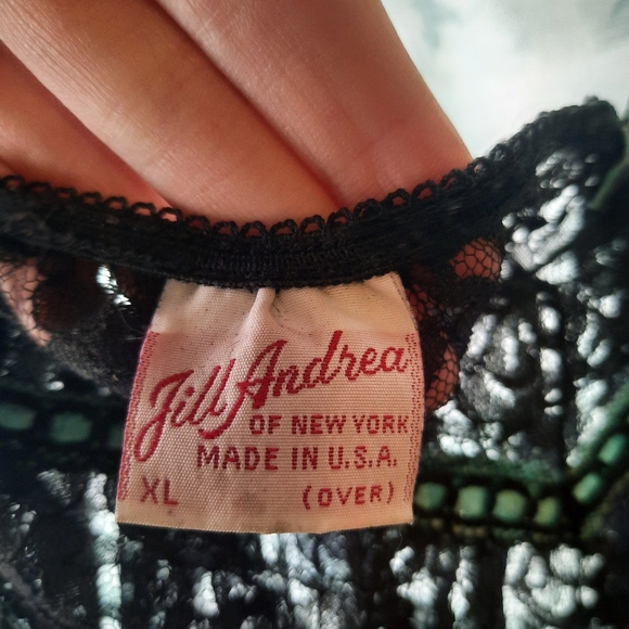 Jill Anderson Lace Lingerie Top - Picture 2 of 3